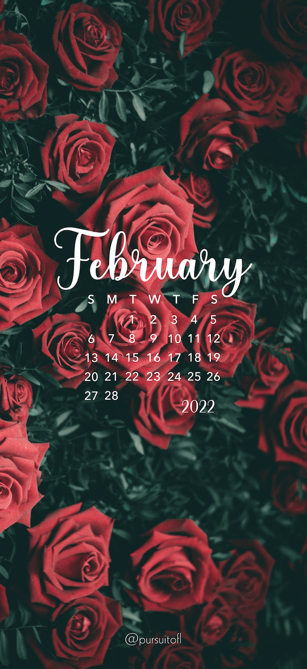 Red Roses Phone Wallpaper with February 2022 Calendar