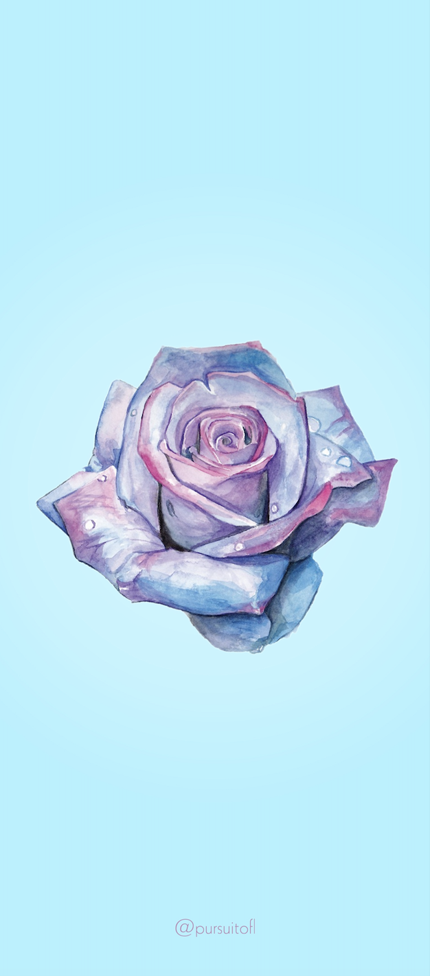 Blue Phone Wallpaper with Rose