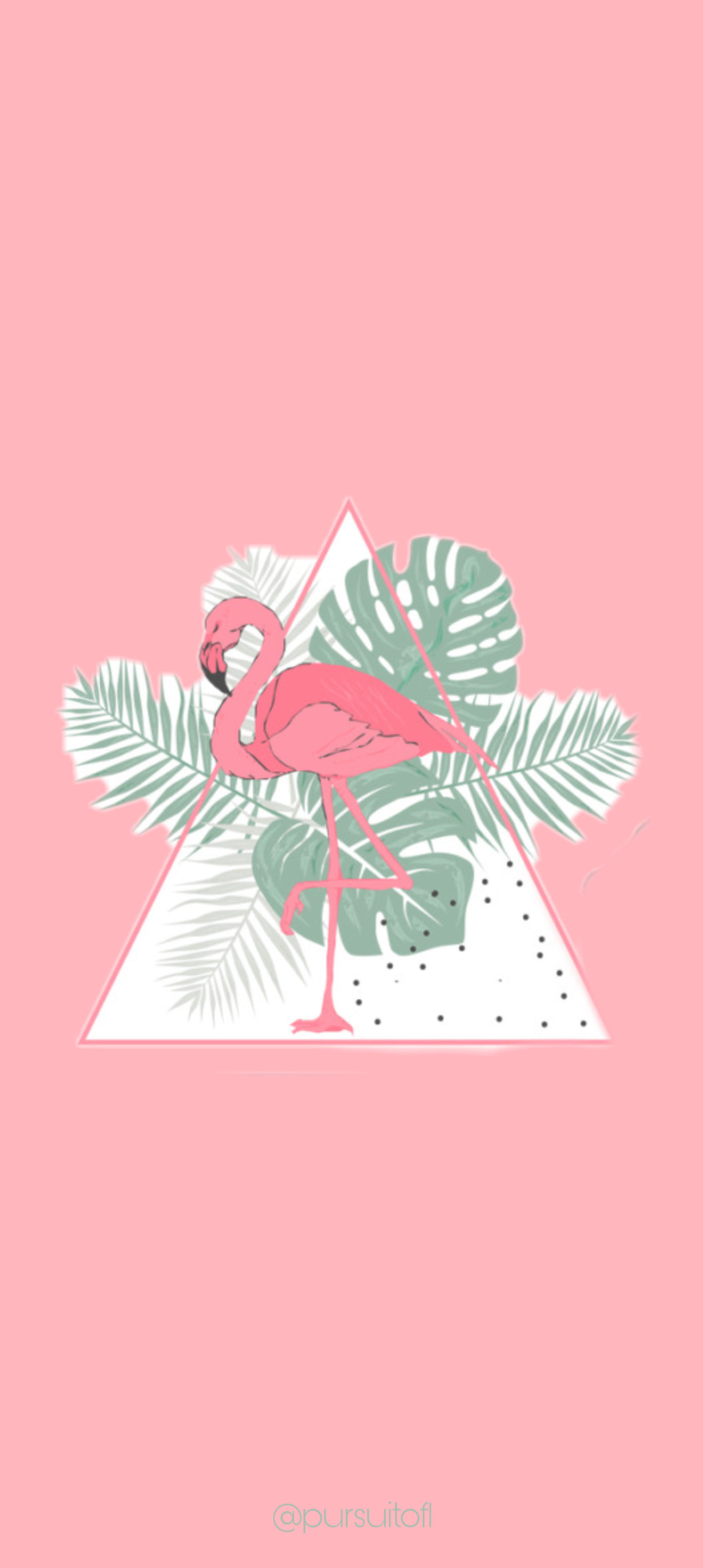 Pink summer phone wallpaper with pink flamingo and green plants in triangle