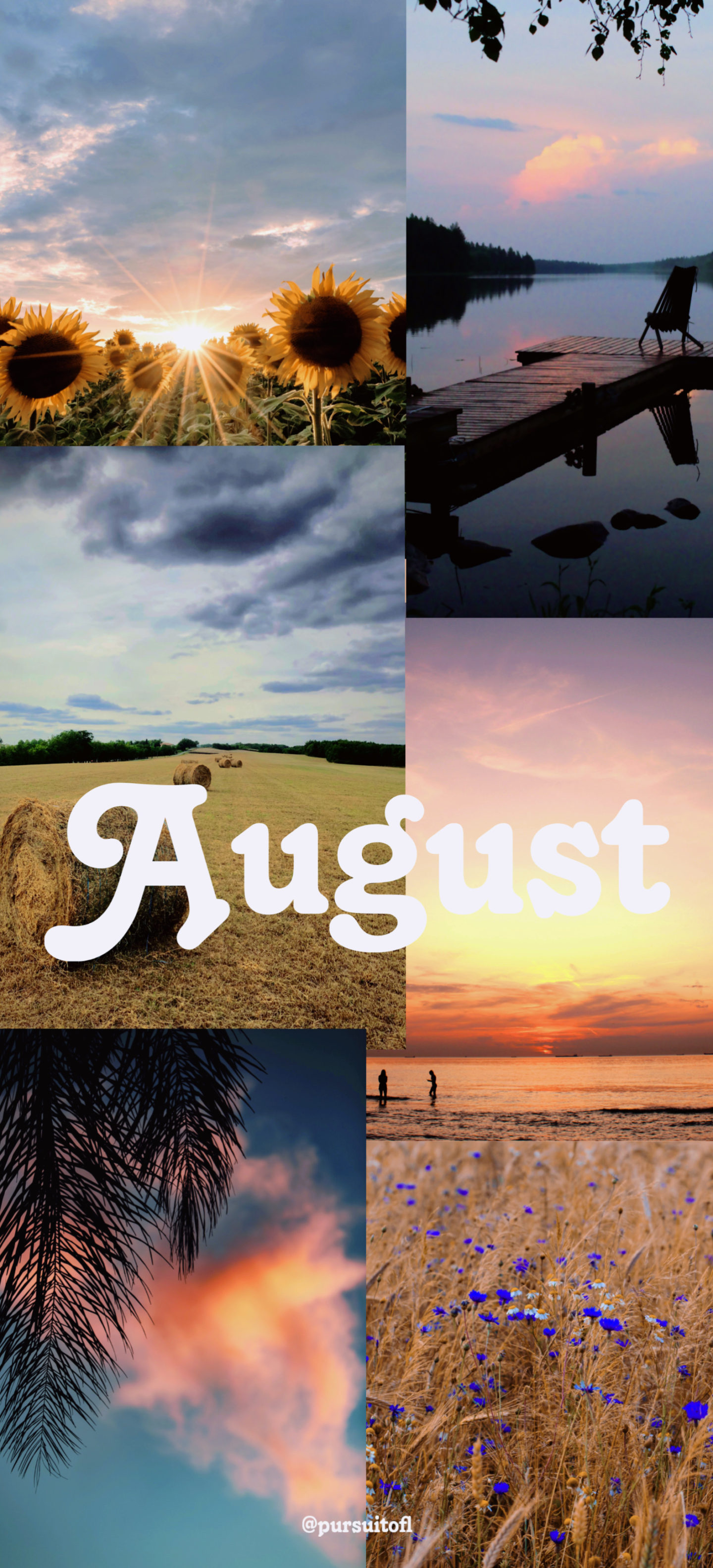 Summer collage phone wallpaper with white August text.