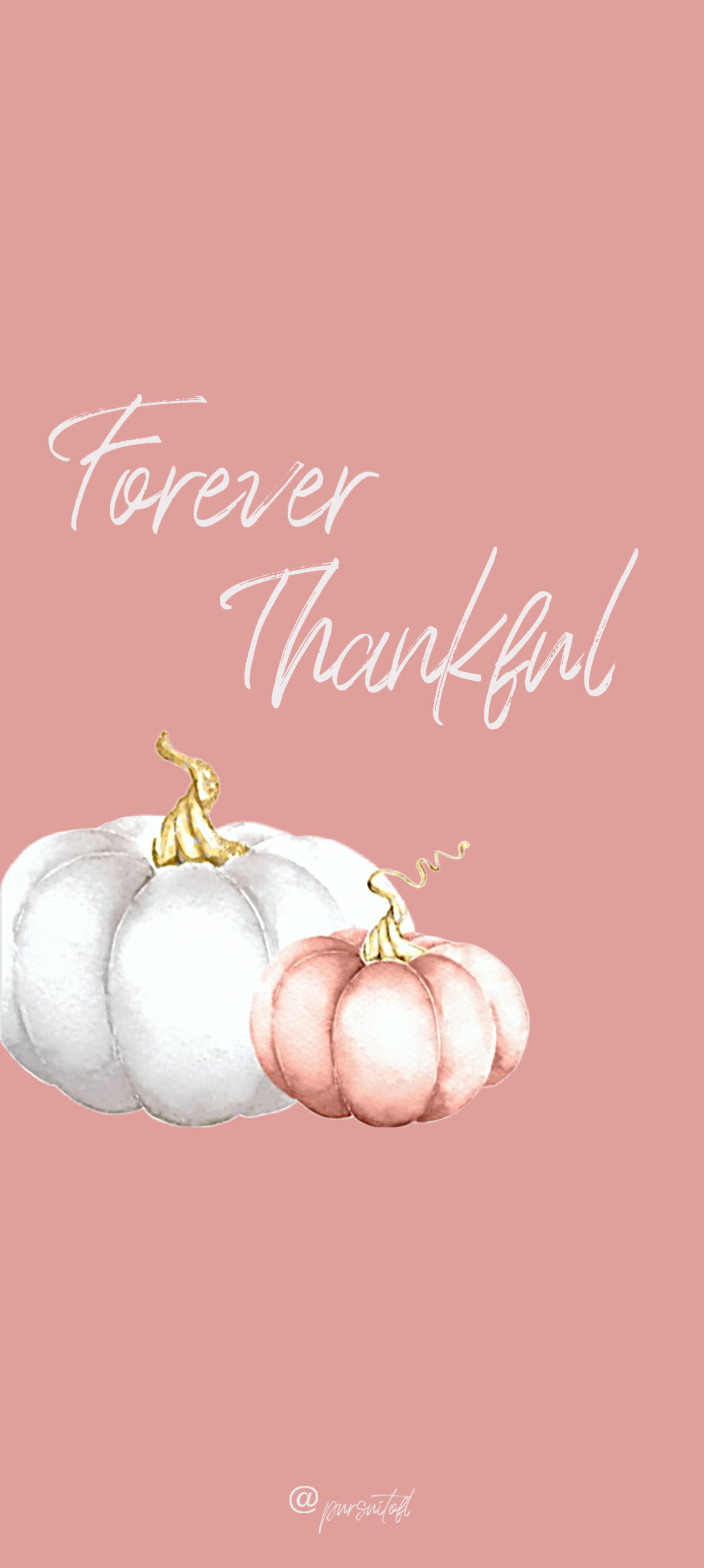 Peach Phone Wallpaper with Forever Thankful text and White and Peach Colored Pumpkins