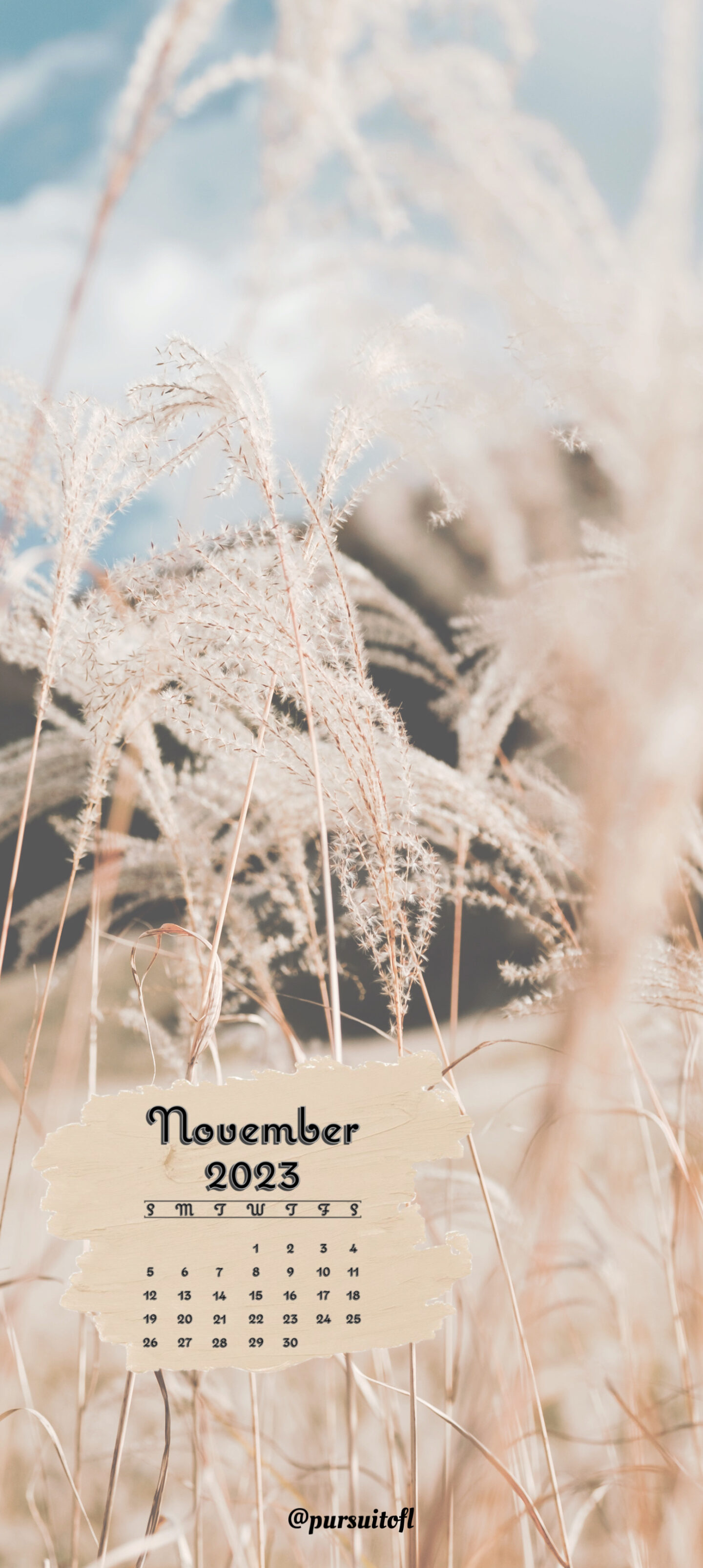 Fall Nature Phone Wallpaper with November 2023 Calendar 