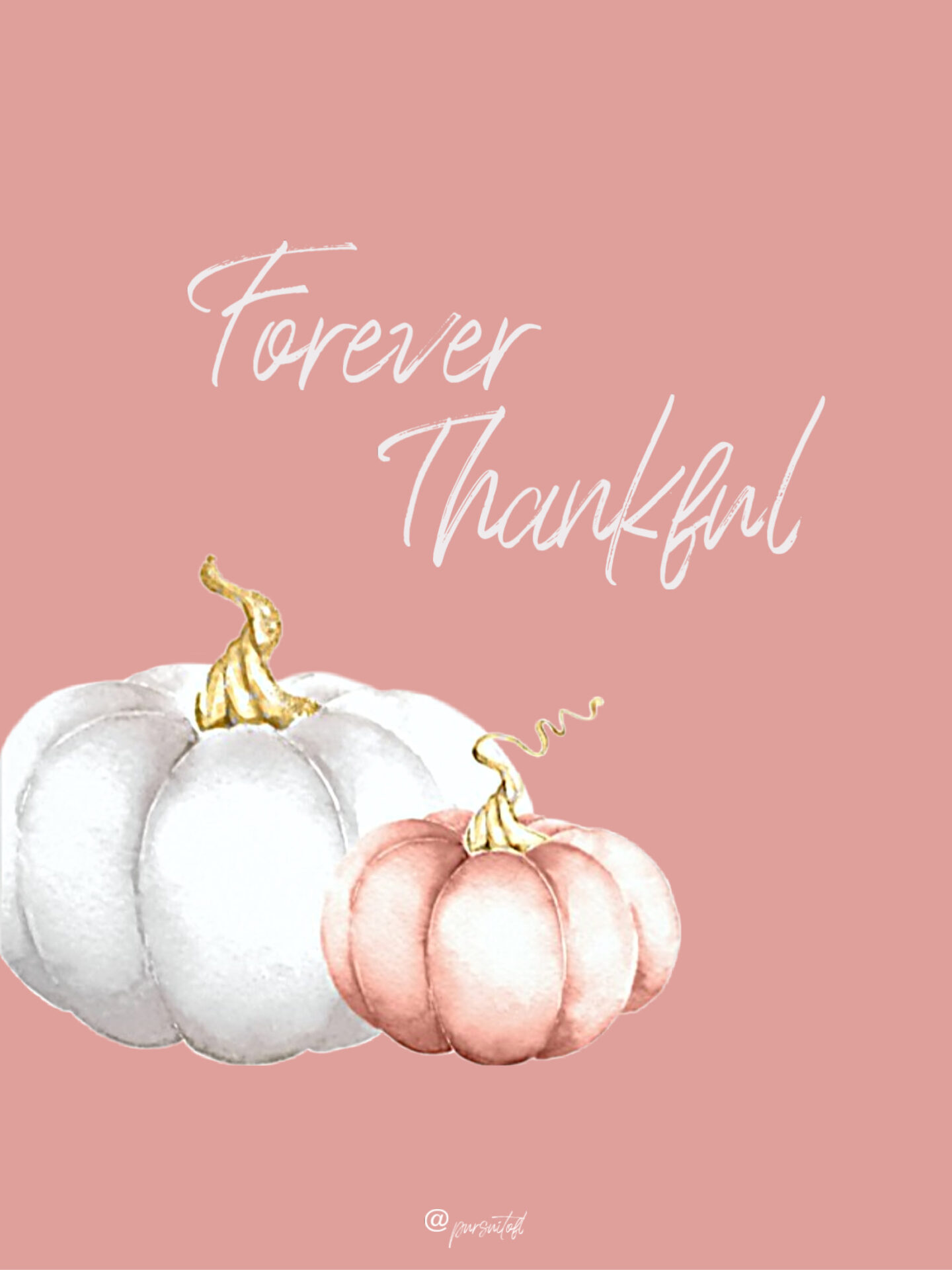 Peach Tablet Wallpaper with Forever Thankful text and White and Peach Colored Pumpkins
