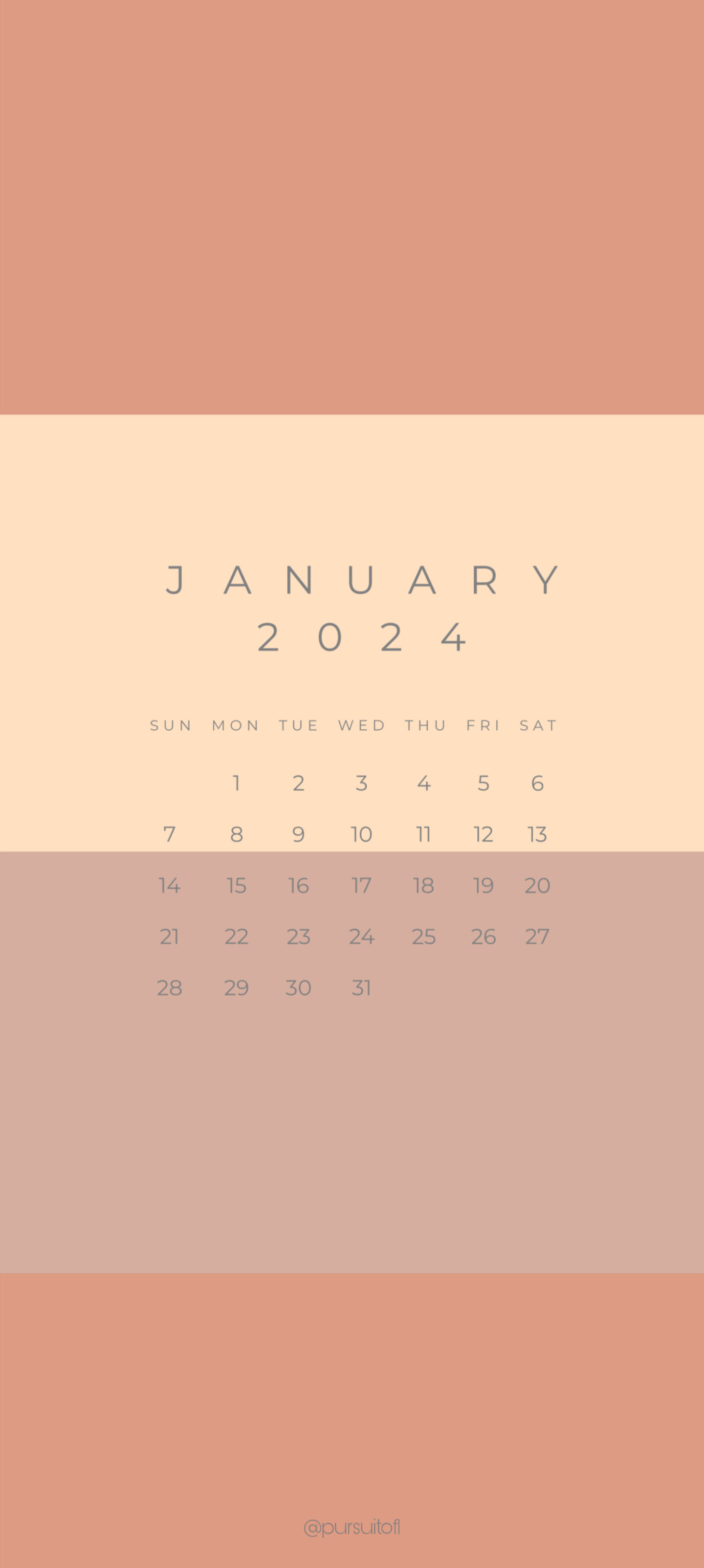 Neutral Color Block Phone Wallpaper with January 2024 Calendar