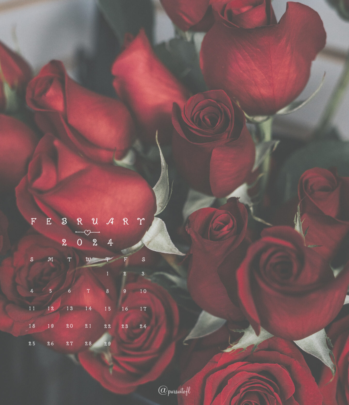 Red Roses Tablet Wallpaper with February 2024 calendar; Valentine's Day Wallpaper