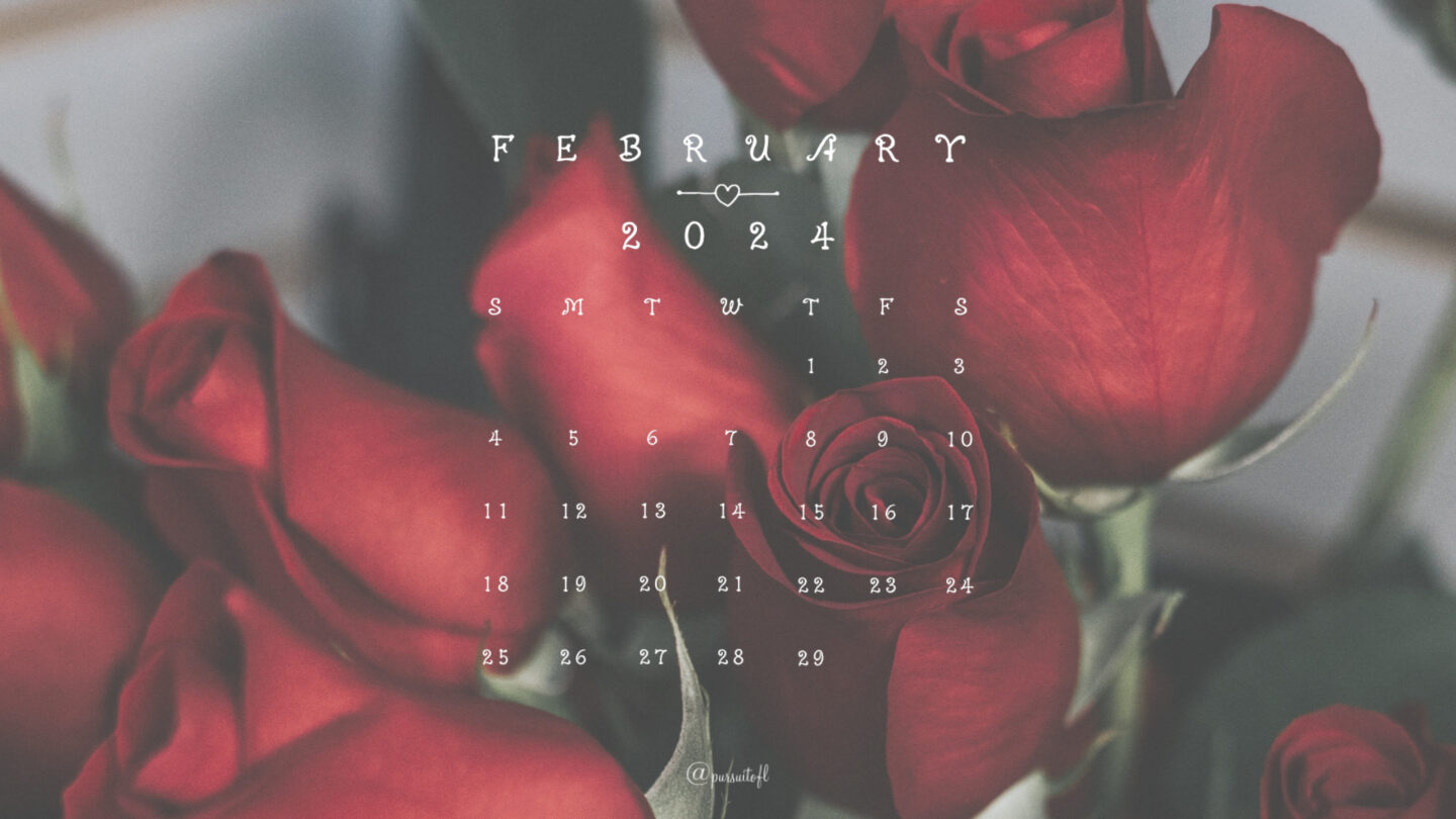 Red Roses Desktop Wallpaper with February 2024 calendar; Valentine's Day Wallpaper