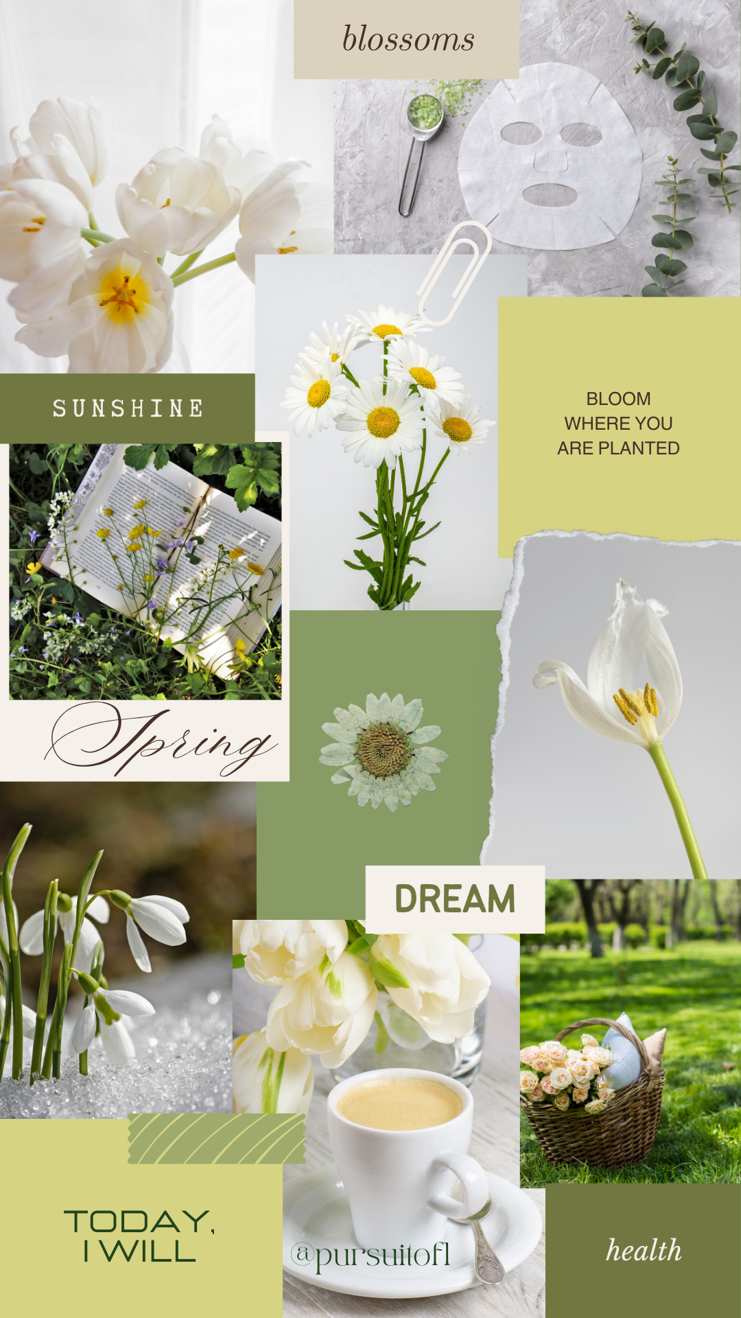 Green spring collage phone wallpaper with inspiring words and quotes