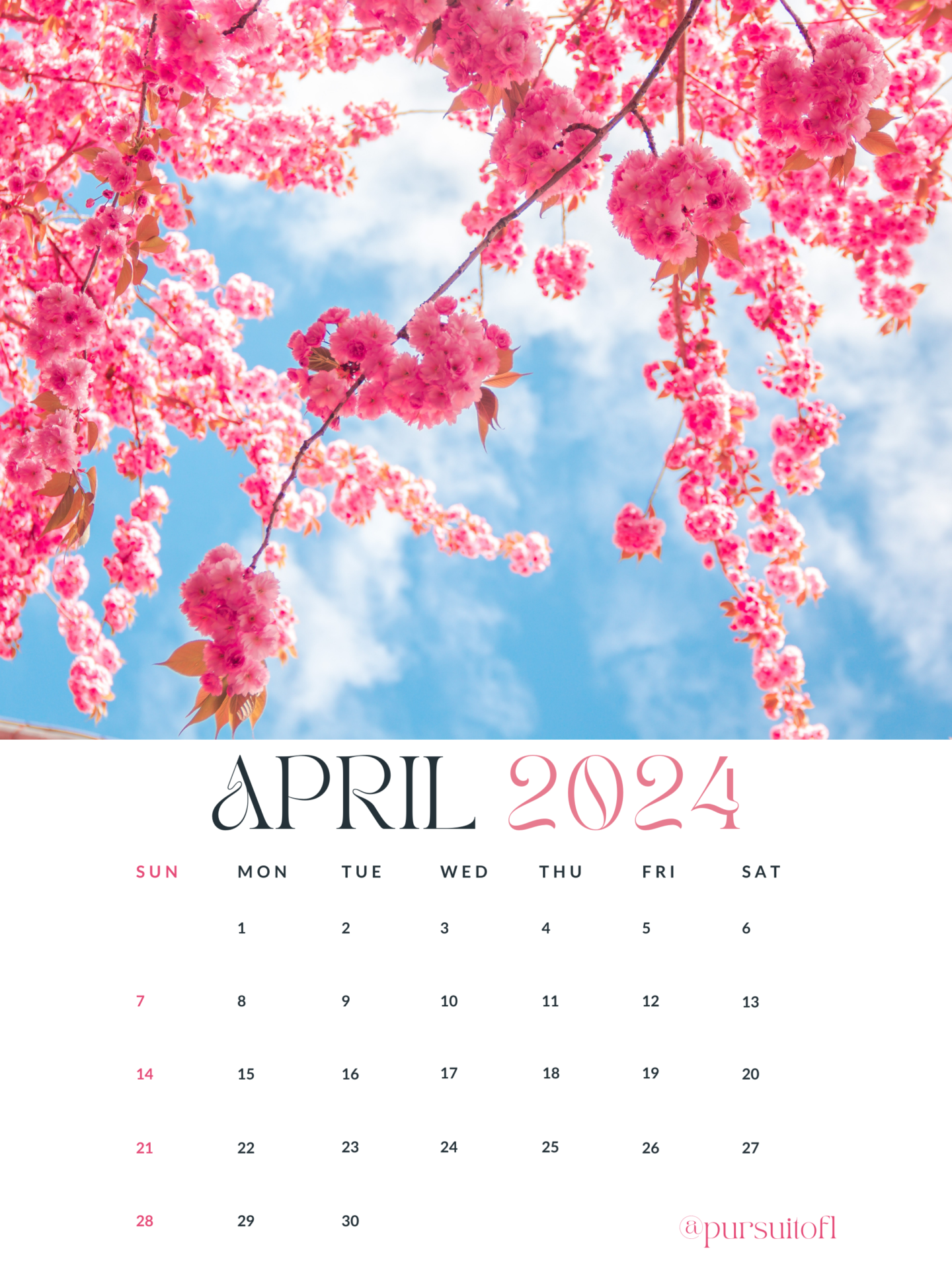 April 2024 calendar tablet wallpaper with cherry blossoms