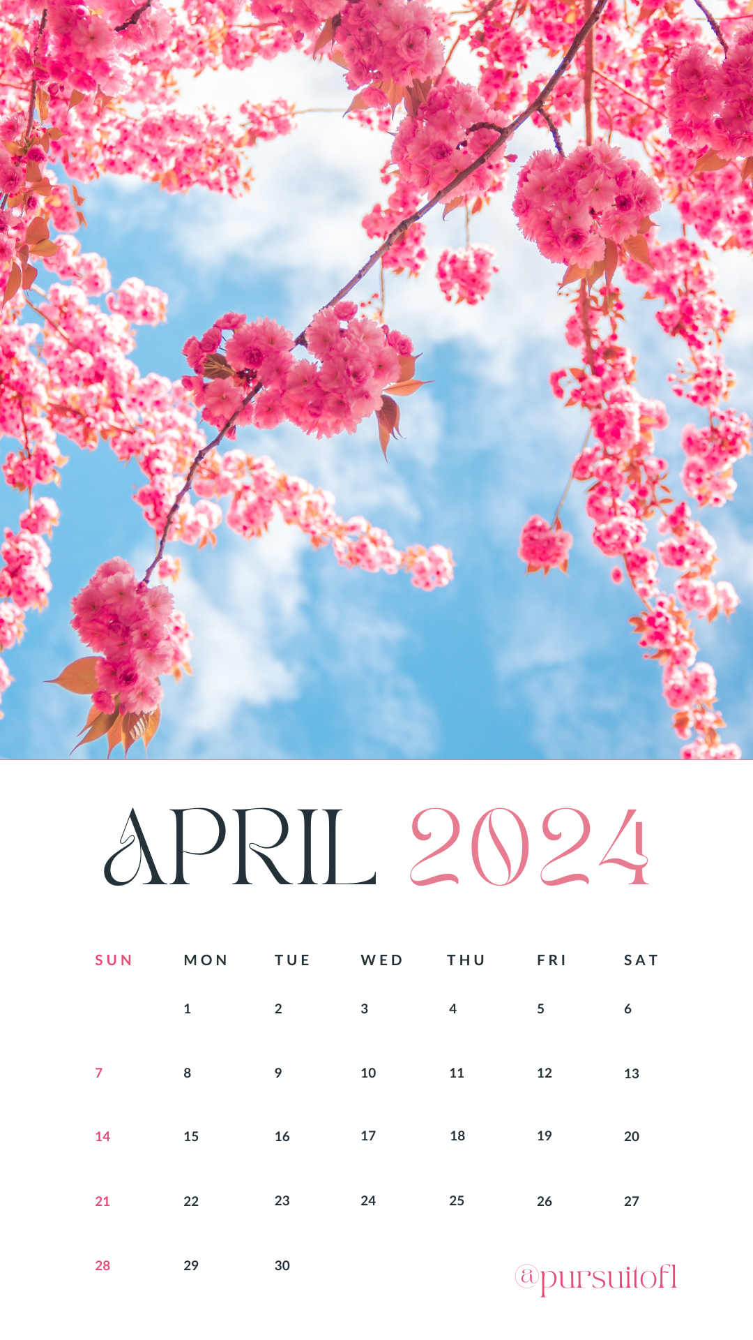 April 2024 calendar phone wallpaper with cherry blossoms