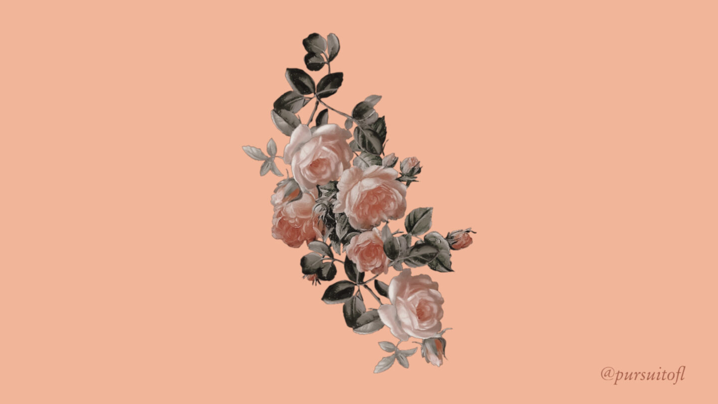 Peach desktop wallpaper with floral vine