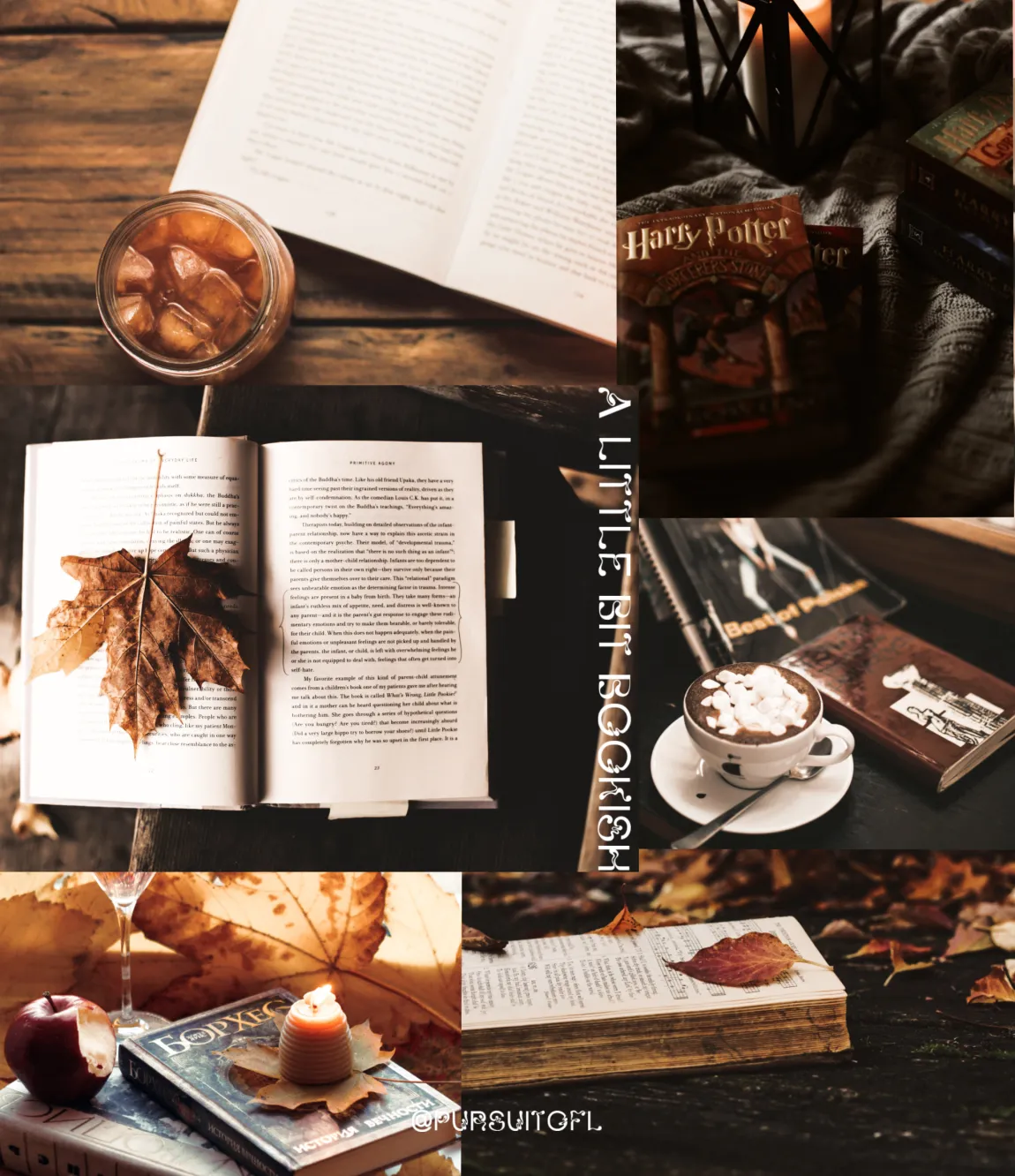 Cozy, autumn-themed collage tablet wallpaper with images of open books, fall leaves, a lit candle, a cup of hot chocolate, and Harry Potter books. The words 'A Little Bit Bookish' are written vertically in white on the right side. The background features warm tones of brown and orange, evoking a warm and inviting autumn atmosphere.