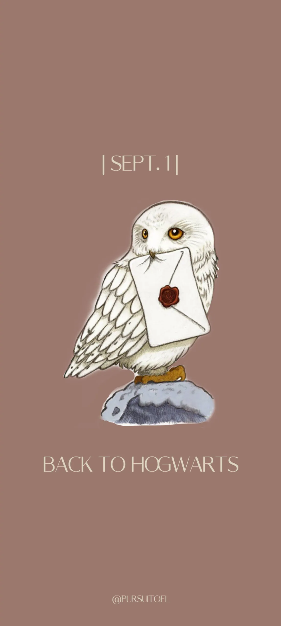 Hogwarts-themed phone wallpaper featuring a snowy white owl (Hedwig) holding an envelope with a red wax seal in its beak. The words 'Sept. 1' and 'Back to Hogwarts' are displayed in elegant font, all set against a warm brown background.
