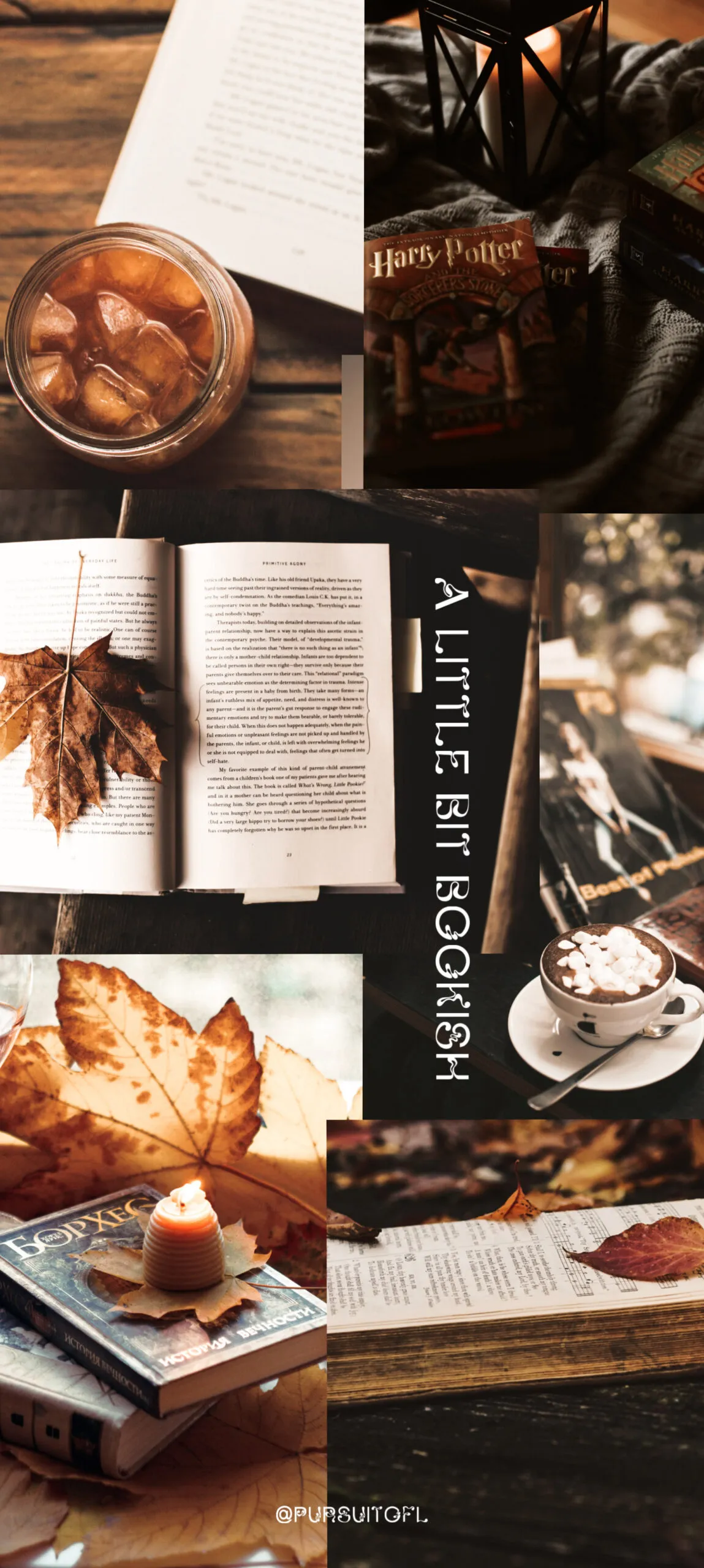 Cozy, autumn-themed collage phone wallpaper with images of open books, fall leaves, a lit candle, a cup of hot chocolate, and Harry Potter books. The words 'A Little Bit Bookish' are written vertically in white on the right side. The background features warm tones of brown and orange, evoking a warm and inviting autumn atmosphere.