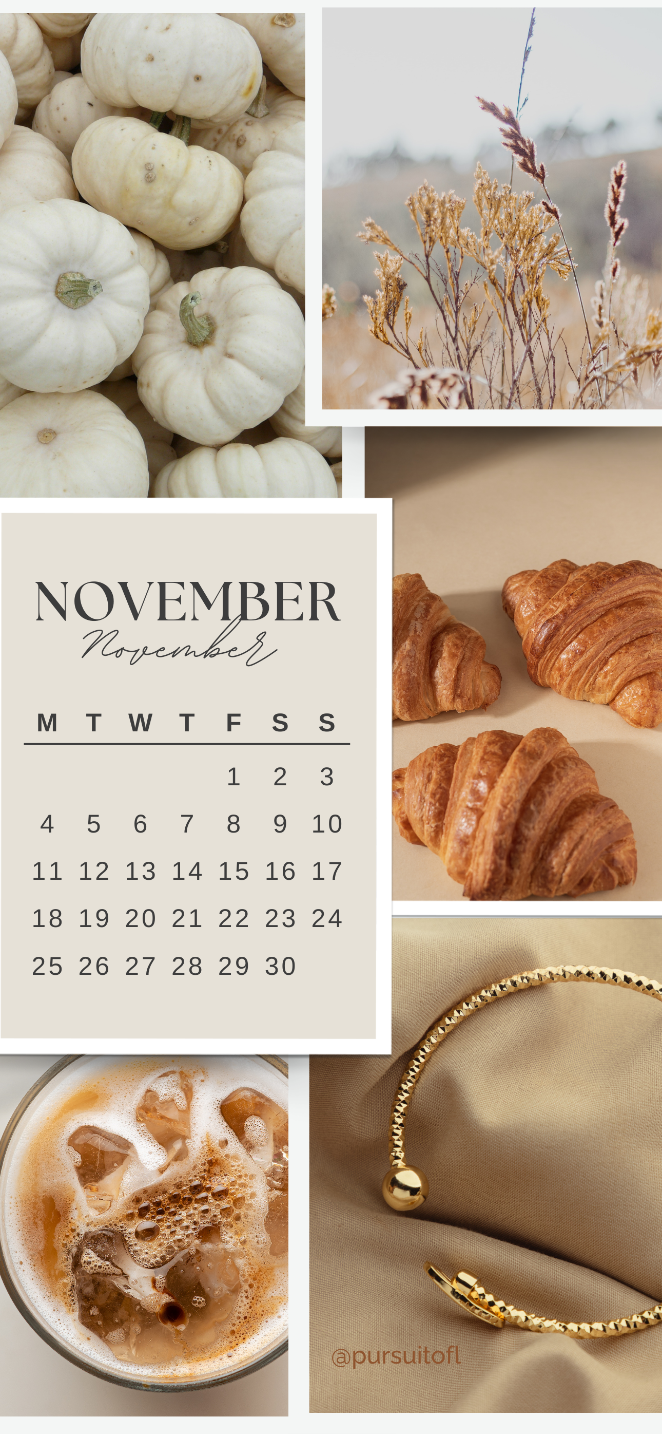 A collage-style phone wallpaper featuring images of white pumpkins, golden grasses, croissants, a glass of iced coffee, and a gold bracelet, with a November calendar overlay in elegant script and serif fonts.