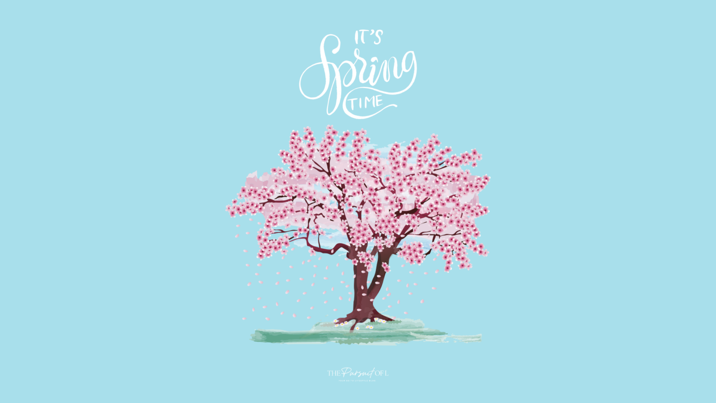 Spring cherry blossom digital wallpaper with soft pink flowers on a blue background, featuring hand-lettered text that says 'It’s Spring Time' — perfect spring aesthetic desktop wallpaper.