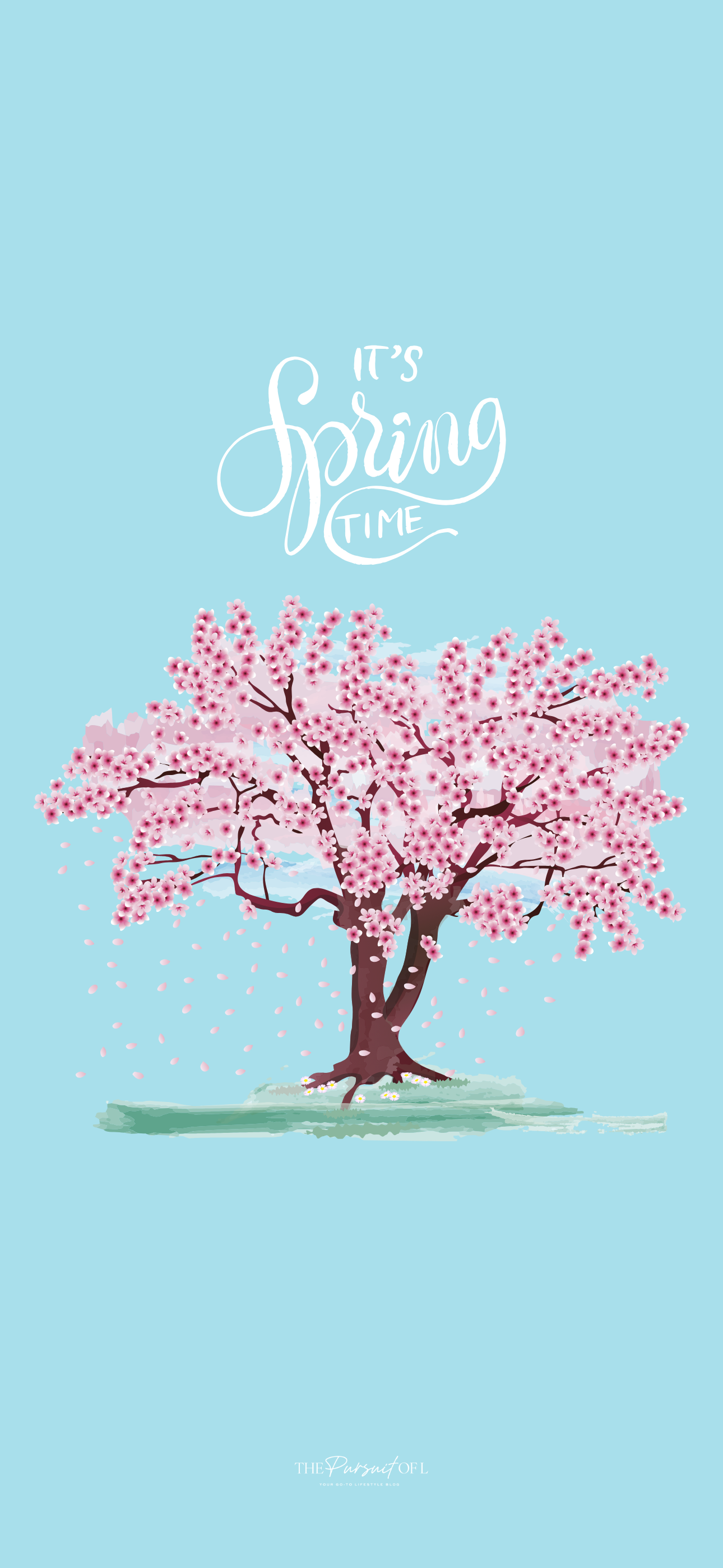 Spring cherry blossom digital wallpaper with soft pink flowers on a blue background, featuring hand-lettered text that says 'It’s Spring Time' — perfect spring aesthetic phone wallpaper.