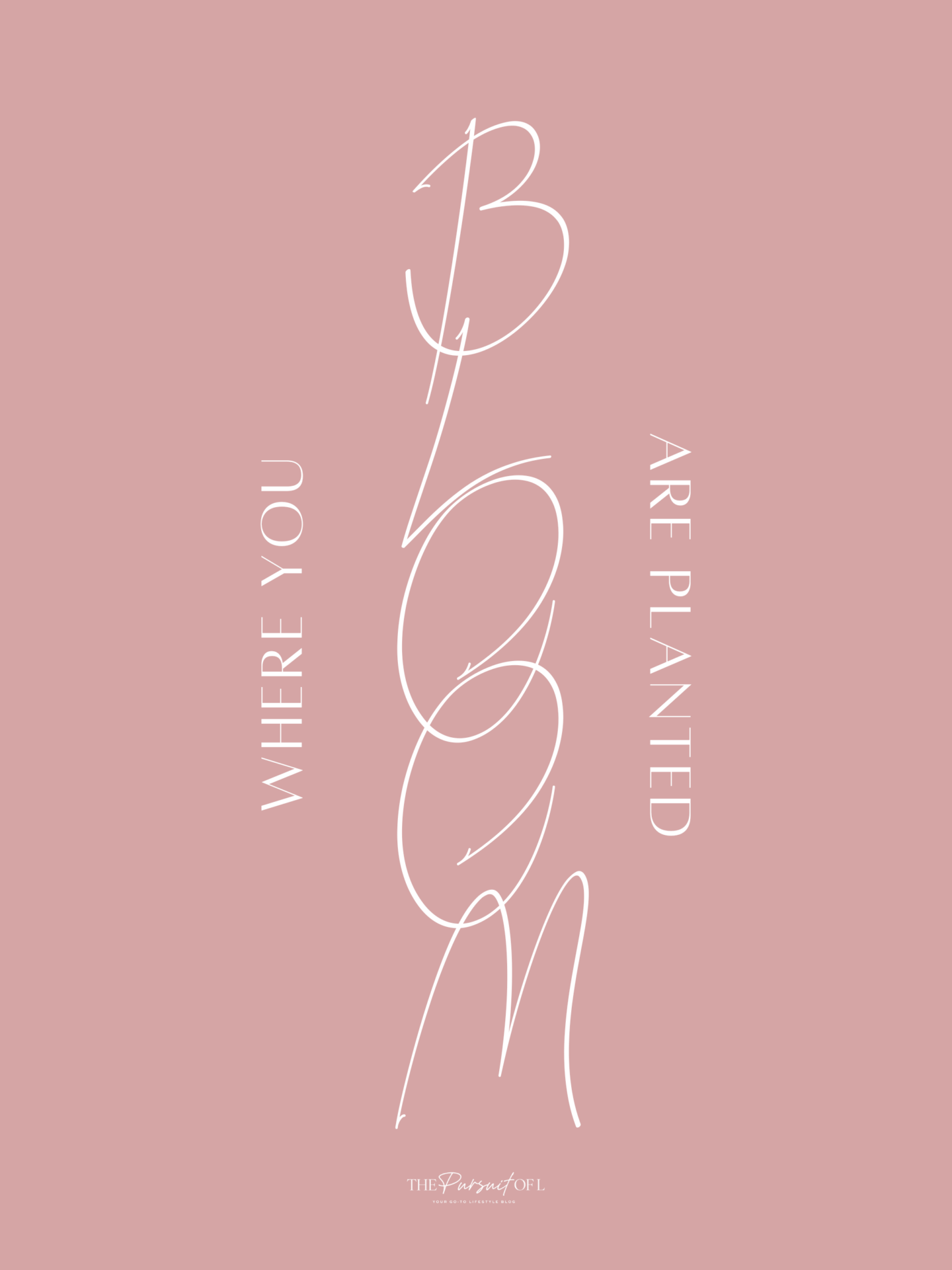 Minimalist digital wallpaper with 'Bloom Where You Are Planted' quote in soft script on a blush pink background — motivational spring aesthetic tablet wallpaper.