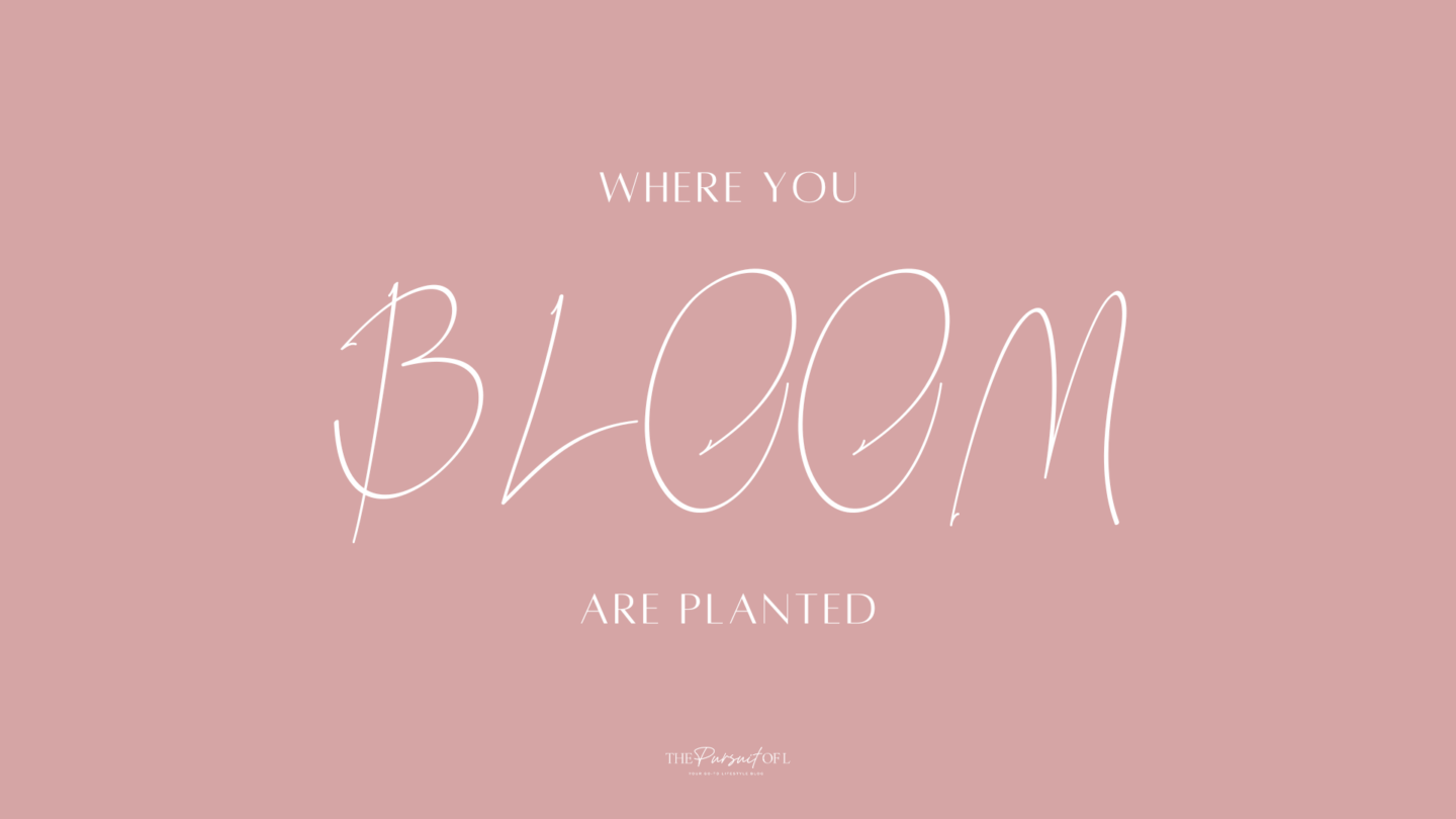 Minimalist digital wallpaper with 'Bloom Where You Are Planted' quote in soft script on a blush pink background — motivational spring aesthetic desktop wallpaper.