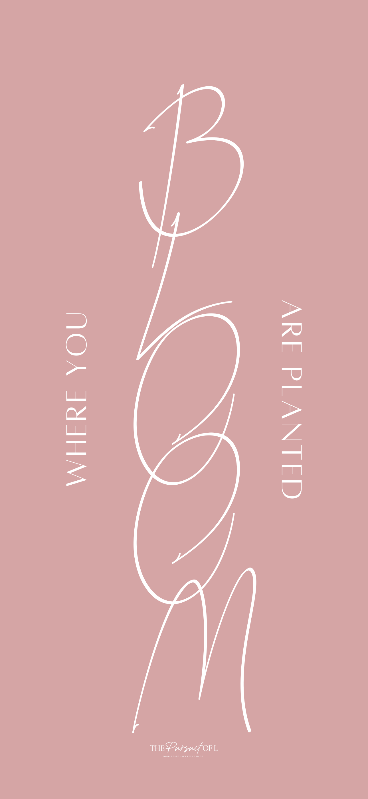 Minimalist digital wallpaper with 'Bloom Where You Are Planted' quote in soft script on a blush pink background — motivational spring aesthetic phone wallpaper.
