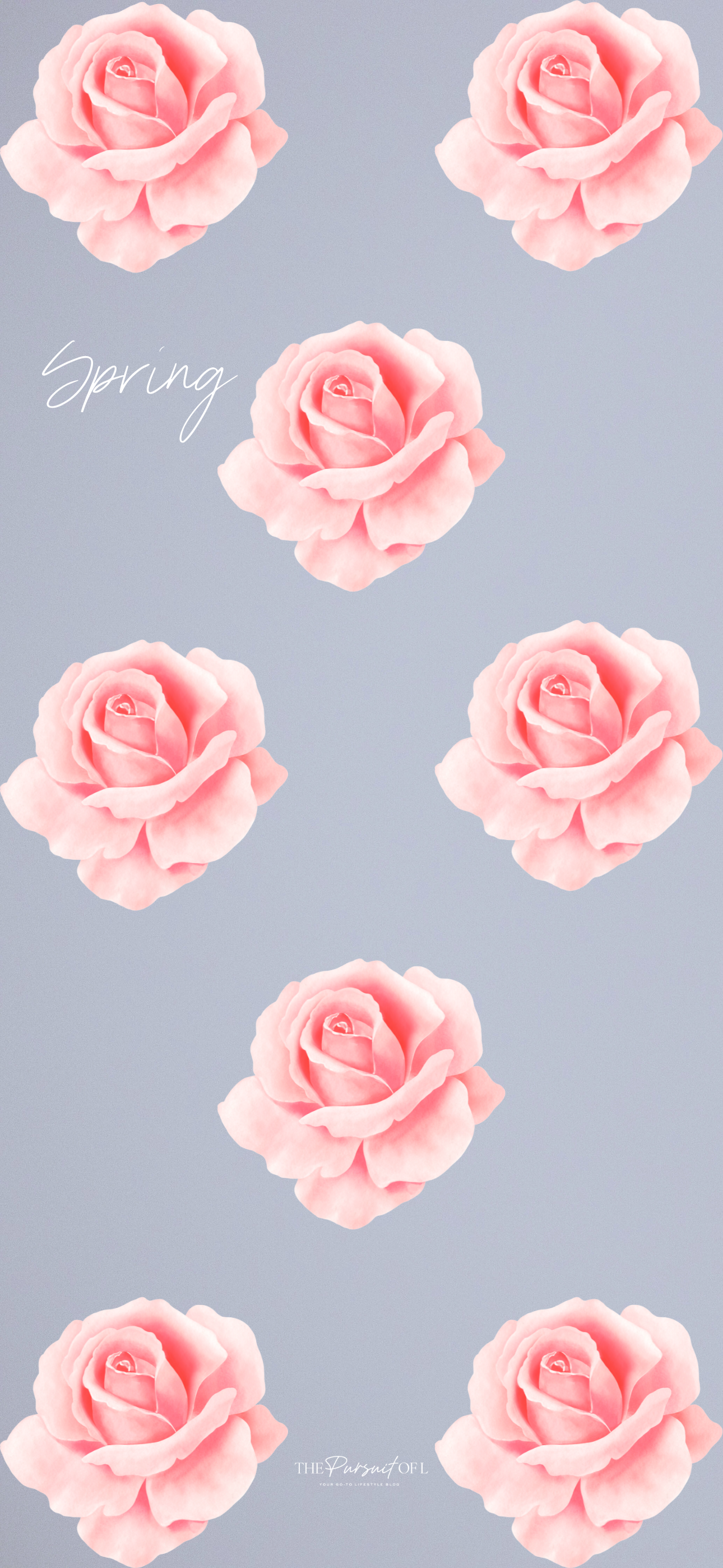 Soft pink watercolor rose pattern on a muted gray-blue background — elegant and simple spring floral wallpaper for phone.