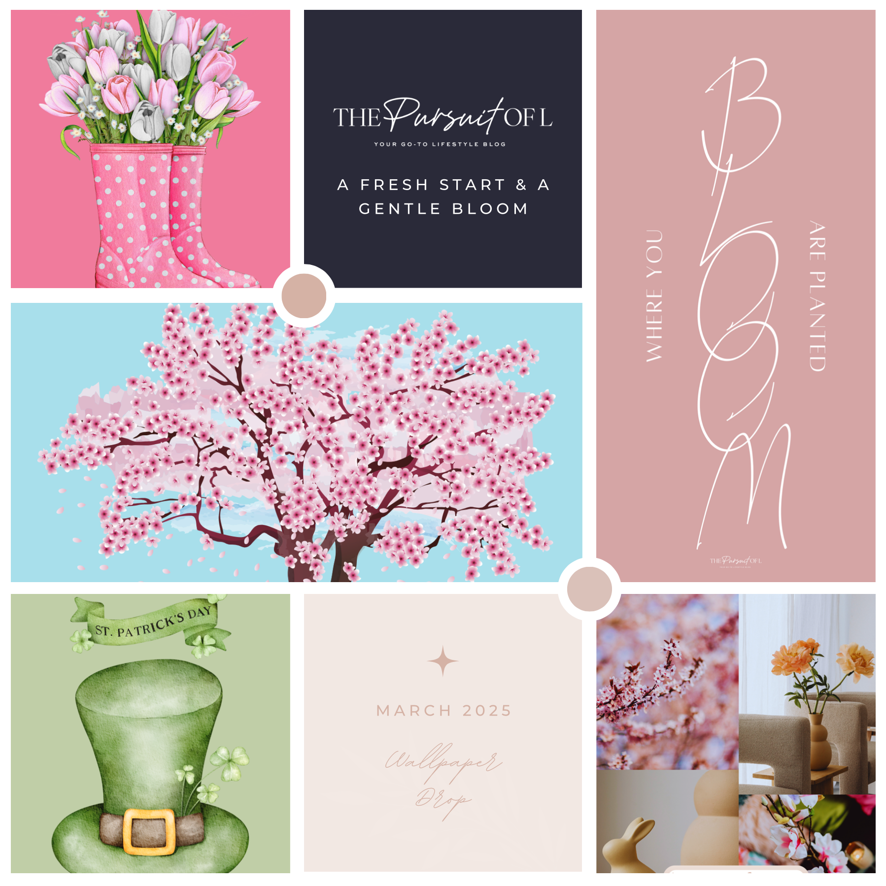 March 2025 Wallpaper Drop | A Fresh Start & a Gentle Bloom